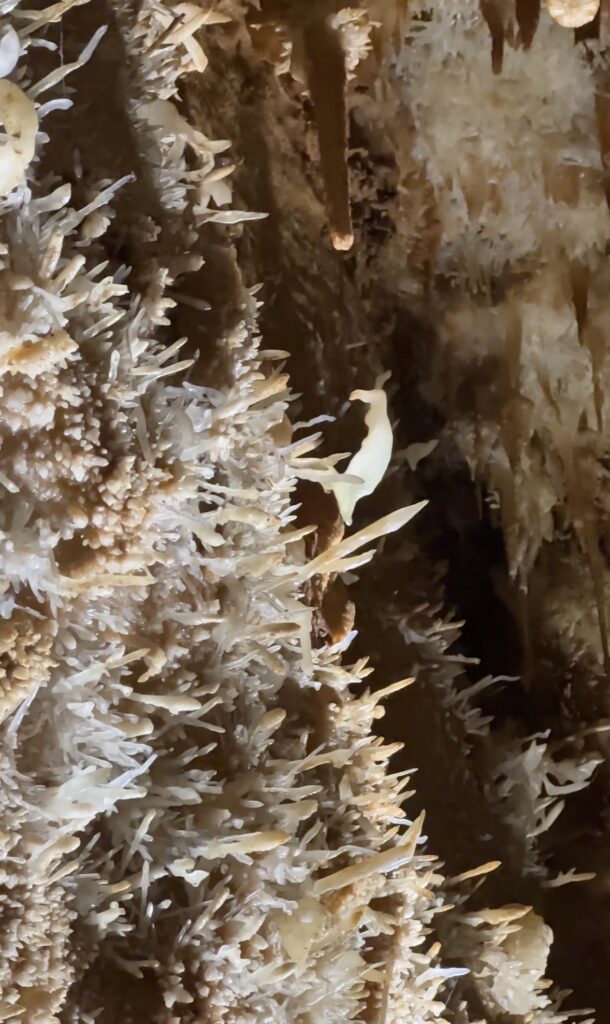 La Grotte de Maxange